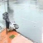 Campo Grande: Mujer hurta una planta de una vereda y cae de la moto al intentar huir