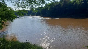 Niño indígena muere ahogado tras ser arrastrado por aguas del río Aquidabán