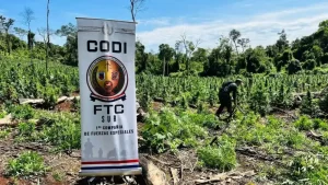 Un ganadero denuncia a 20 agentes de la FTC por supuesta apropiación en Capitán Bado
