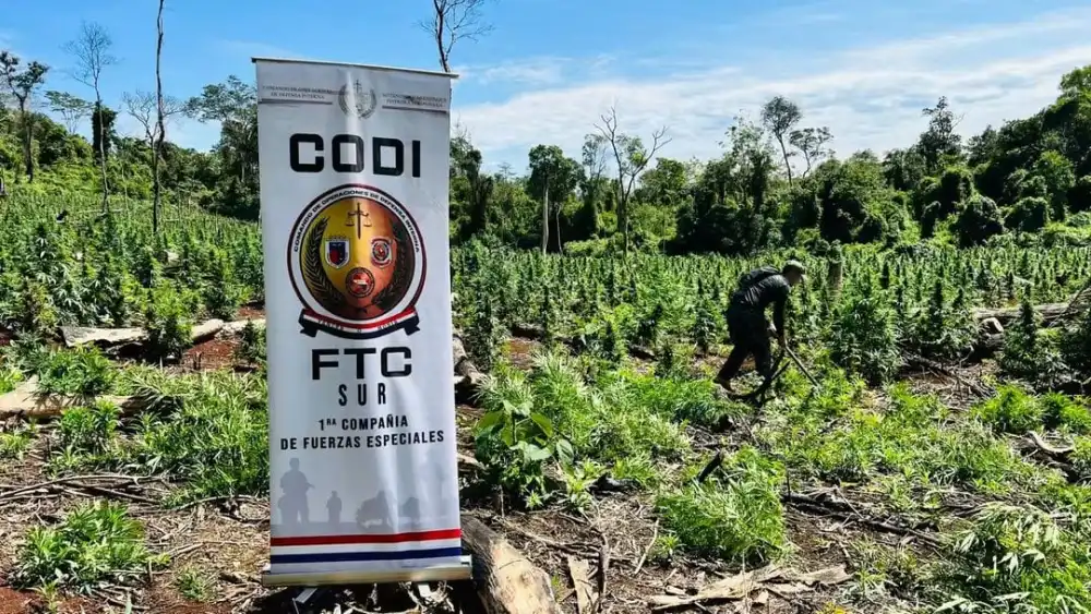 Un ganadero denuncia a 20 agentes de la FTC por supuesta apropiación en Capitán Bado