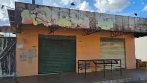 Conmoción en Brasil por muerte de niño de dos años mientras dormía en un auto
