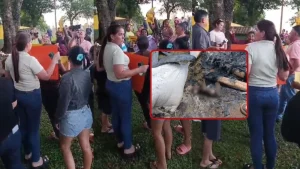 Amambay: Movilización tras foto viral de perro calcinado que se habría generado con IA